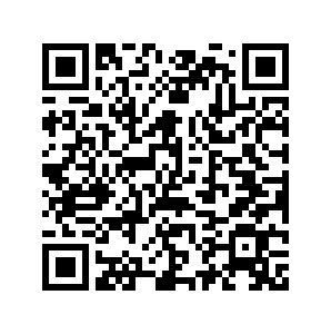 2425 B Berufsorientierung BauerSavelli Kontaktformular QR